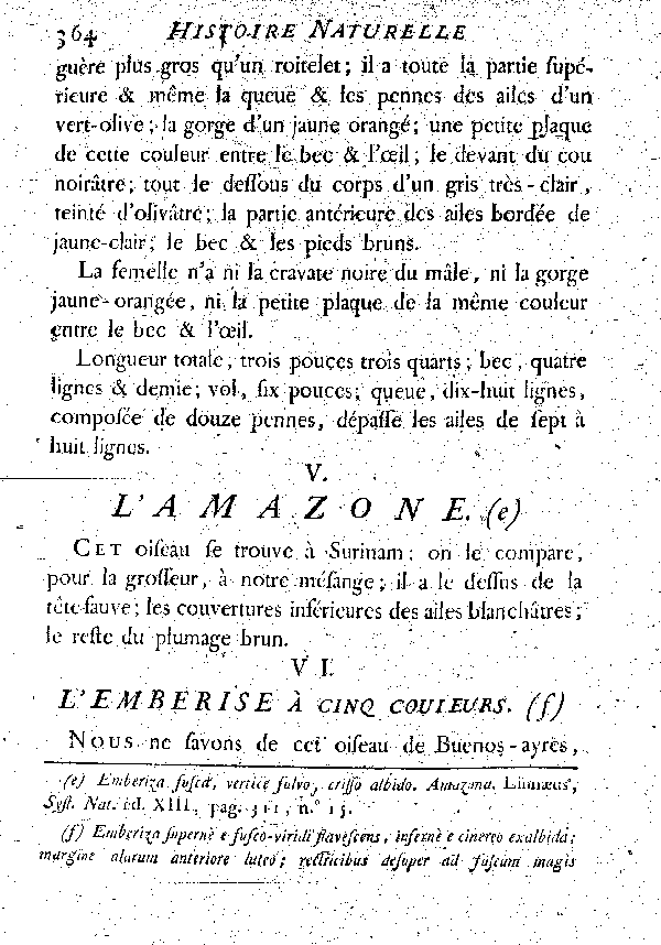 VI. L'Emberise à cinq couleurs.