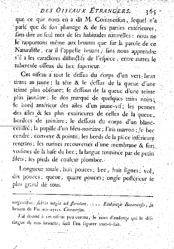 VI. L'Emberise à cinq couleurs.