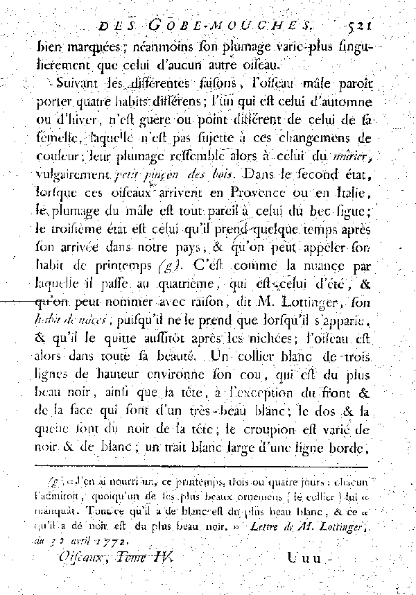 Le Gobe-mouche noir à collier ou Gobe-mouche de Lorraine.