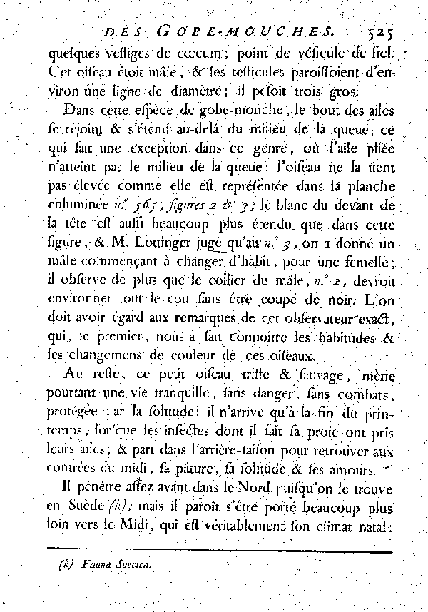 Le Gobe-mouche noir à collier ou Gobe-mouche de Lorraine.