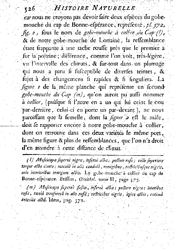 Le Gobe-mouche noir à collier ou Gobe-mouche de Lorraine.