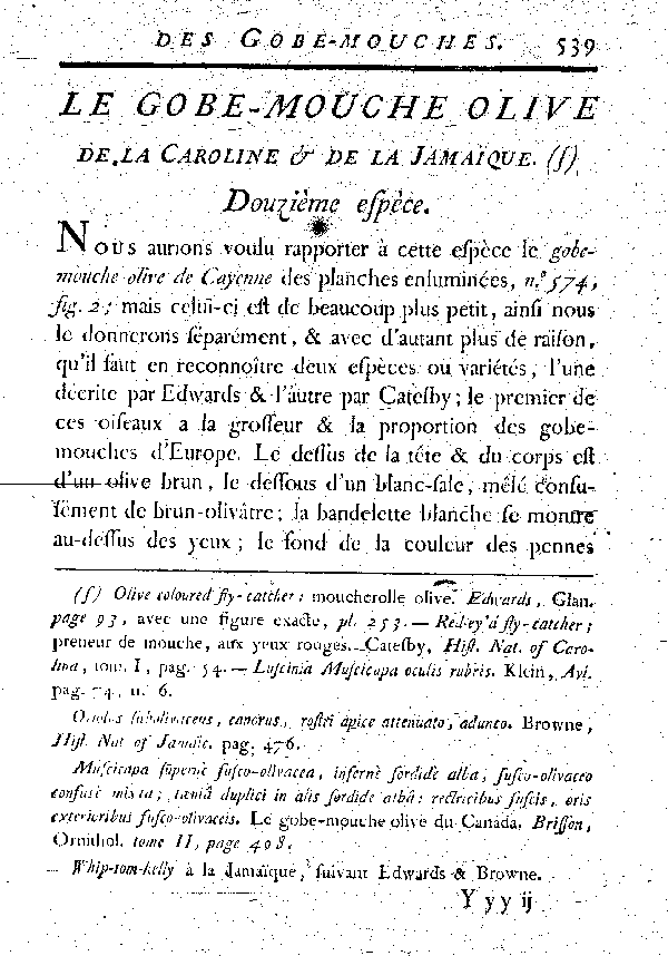 Le Gobe-mouche olive de la Caroline et de la Jamaïque .