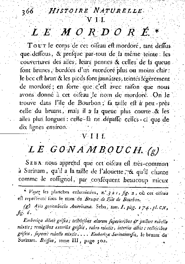 VIII. Le Gonambouch.