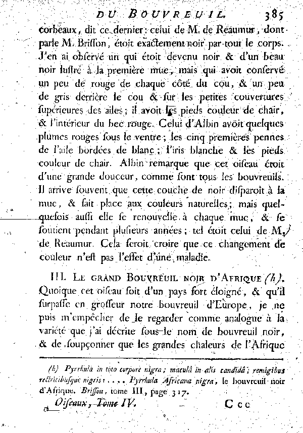 III. Le Grand Bouvreuil noir d'Afrique.