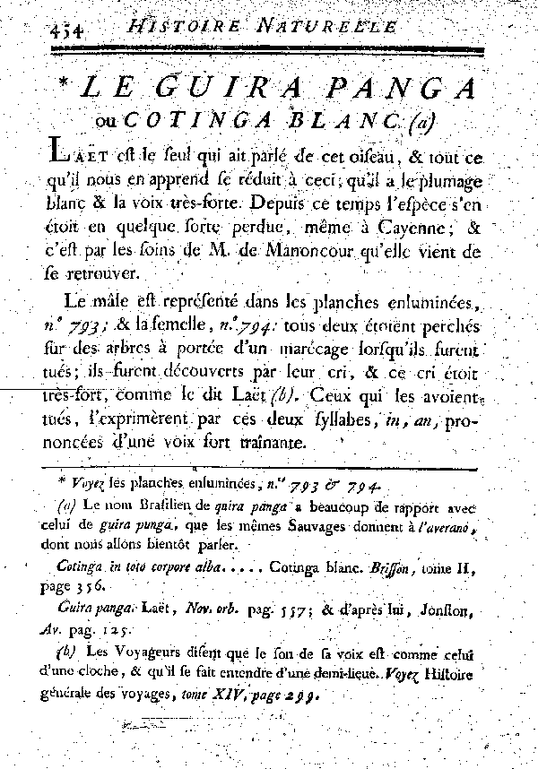 Le Guira Panga ou Cotinga blanc.