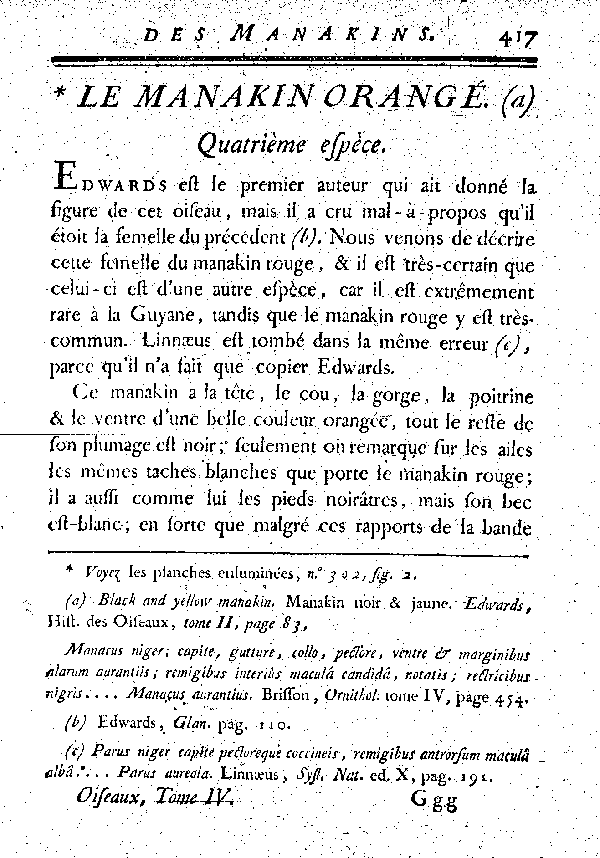 Le Manakin orangé.