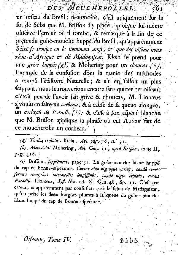 Le Moucherolle huppé à tête couleur d'acier poli.