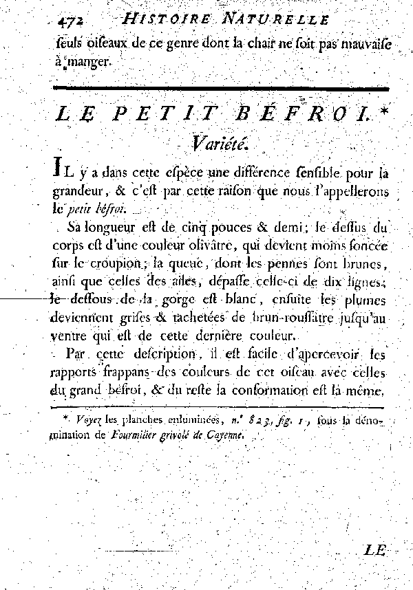 Le petit Béfroi. Variété.