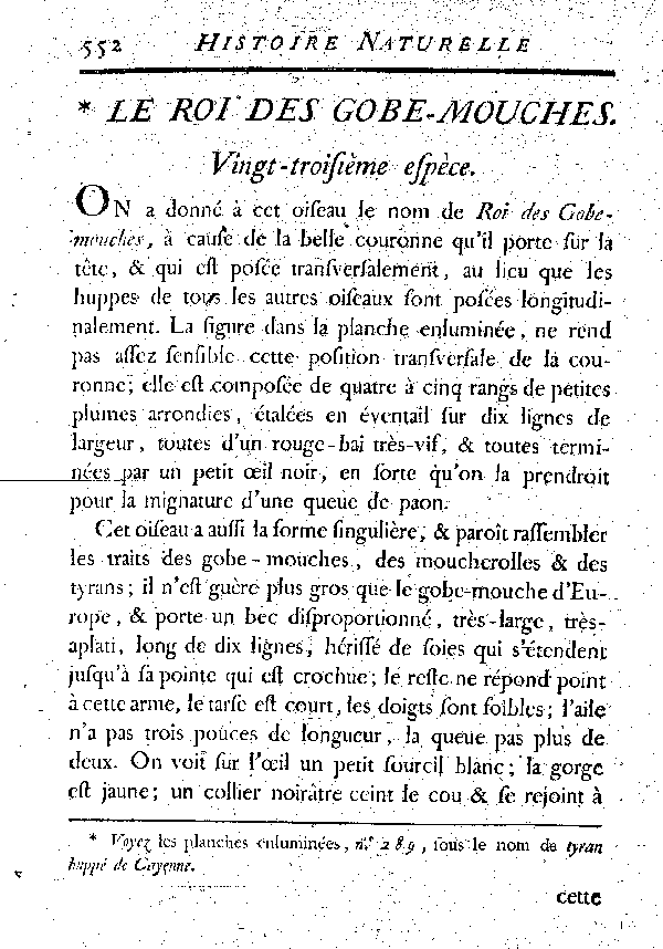 Le Roi des Gobe-mouches.