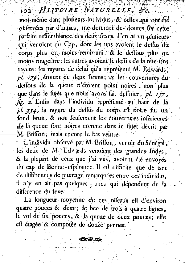 Le Sénégali rayé.