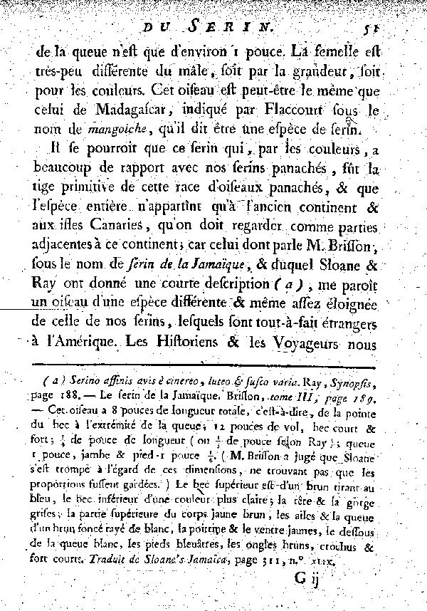 Oiseaux étrangers qui ont rapport aux Serins.