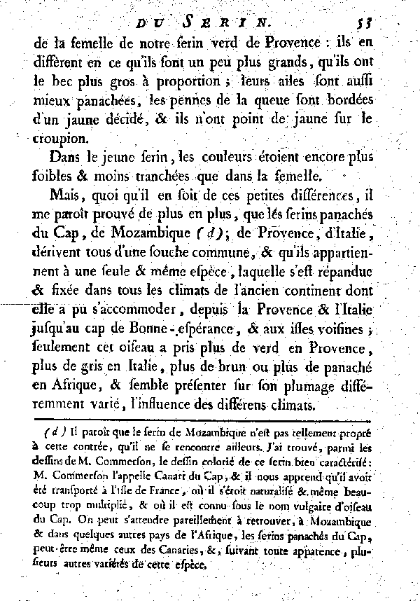 Oiseaux étrangers qui ont rapport aux Serins.