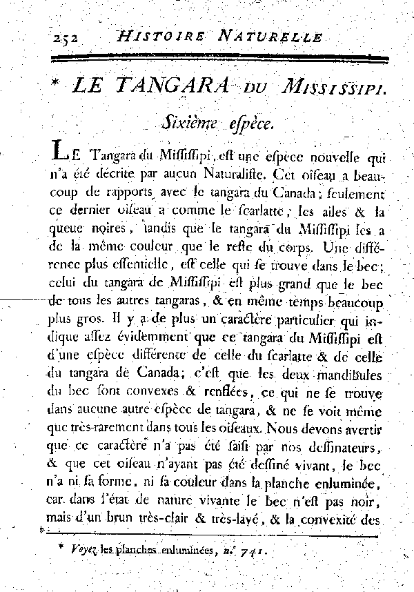 Le Tangara du Mississipi.