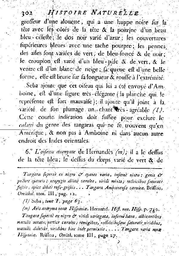 Le Tangara nègre.