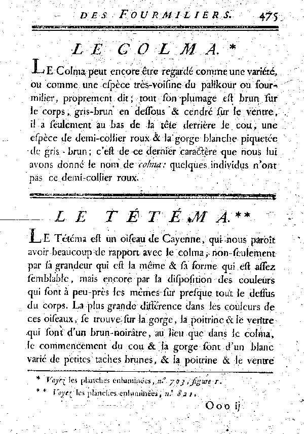 Le Tétéma.