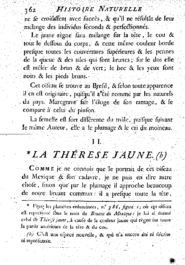 II. La Thérèse jaune.