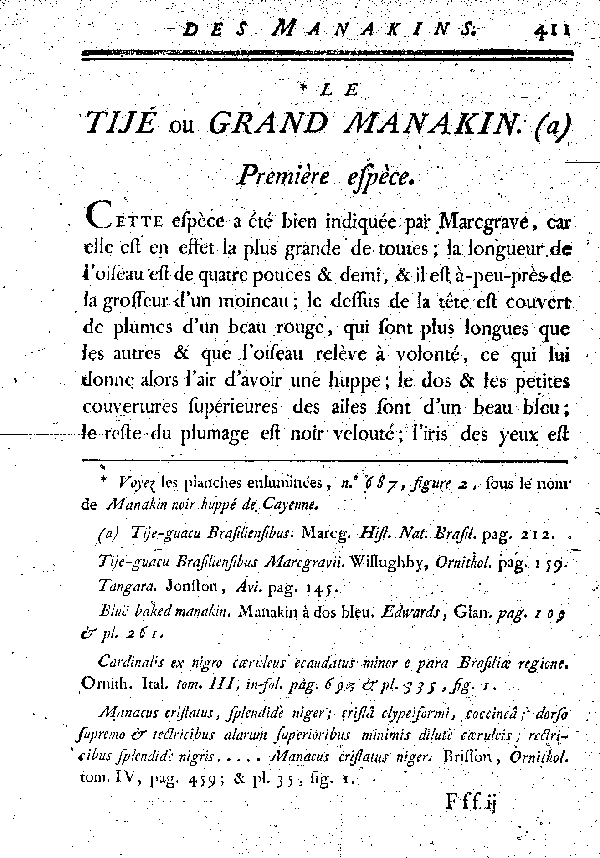 Le Tijé ou Grand Manaquin.