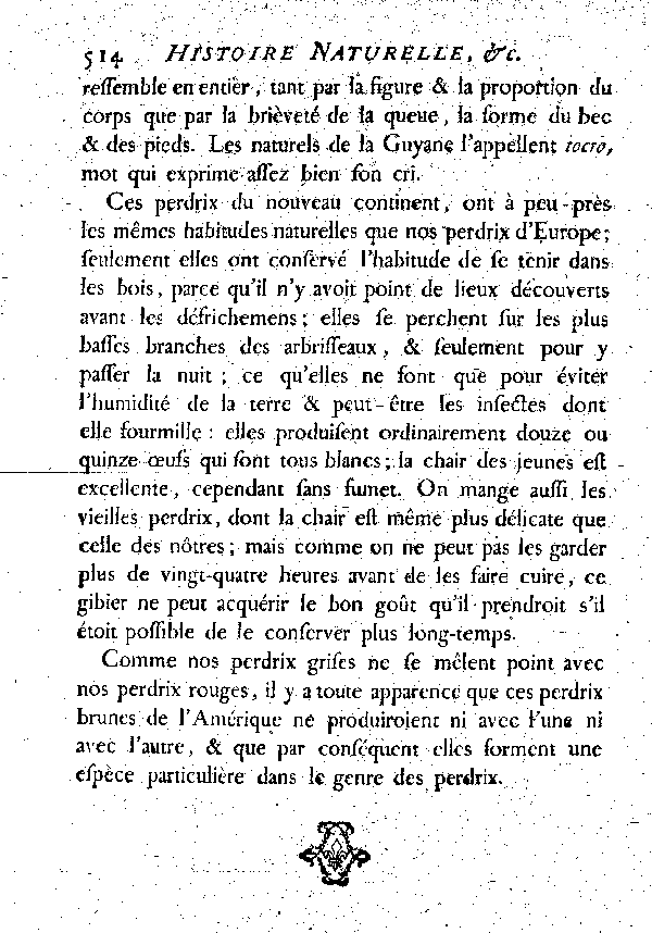 Le Tocro ou Perdrix de la Guyane.