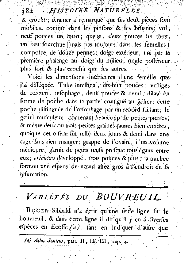 Variétés du Bouvreuil.