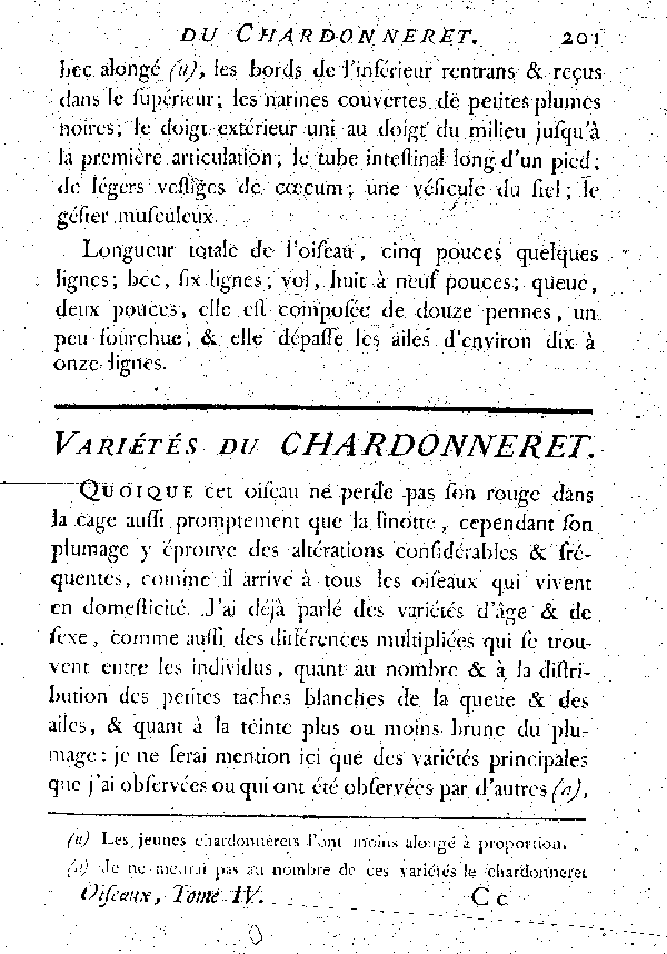 Variétés du Chardonneret.