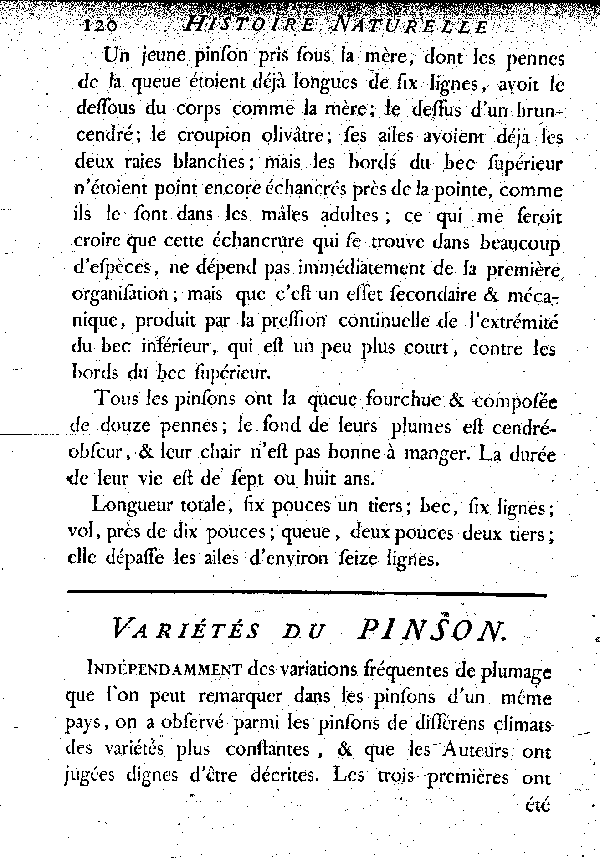 Variétés du Pinson.