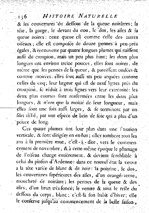 La Veuve au collier d'or.