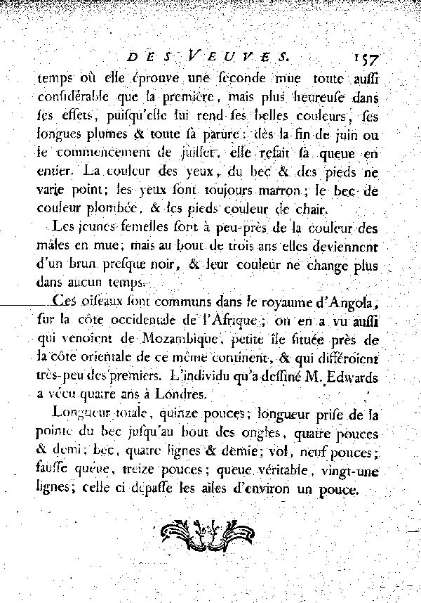 La Veuve au collier d'or.