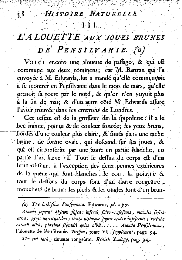 III. L'Alouette aux joues brunes de Pensilvanie