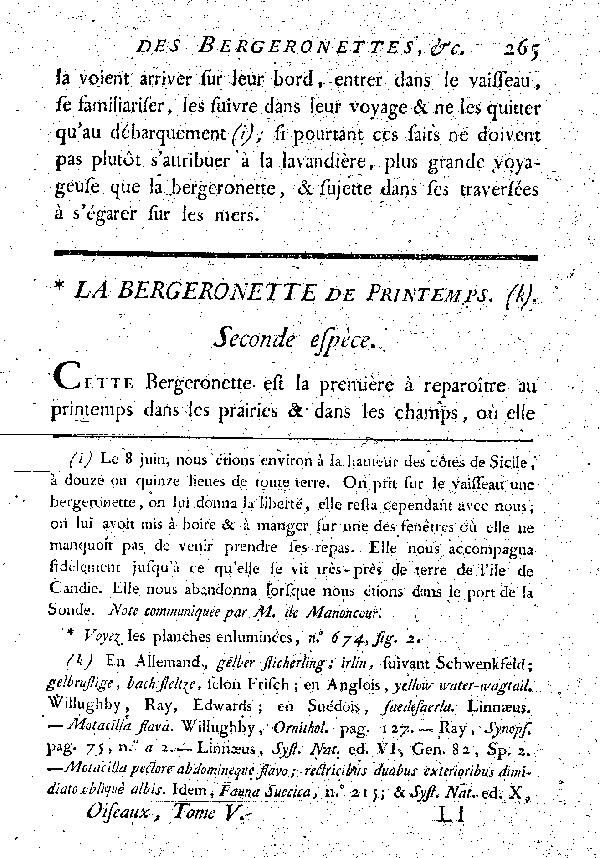 La Bergeronette de printems.