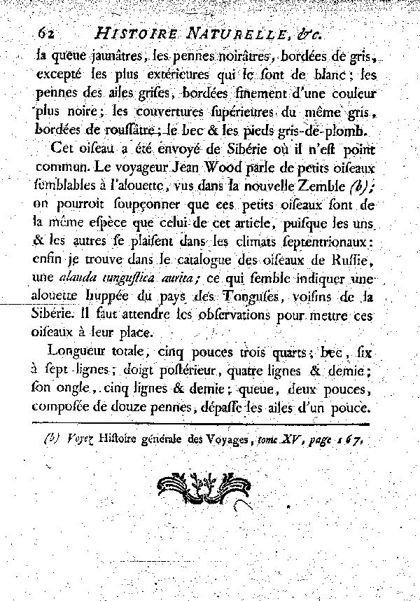 La Ceinture de prêtre ou l'Alouette de Sibérie.