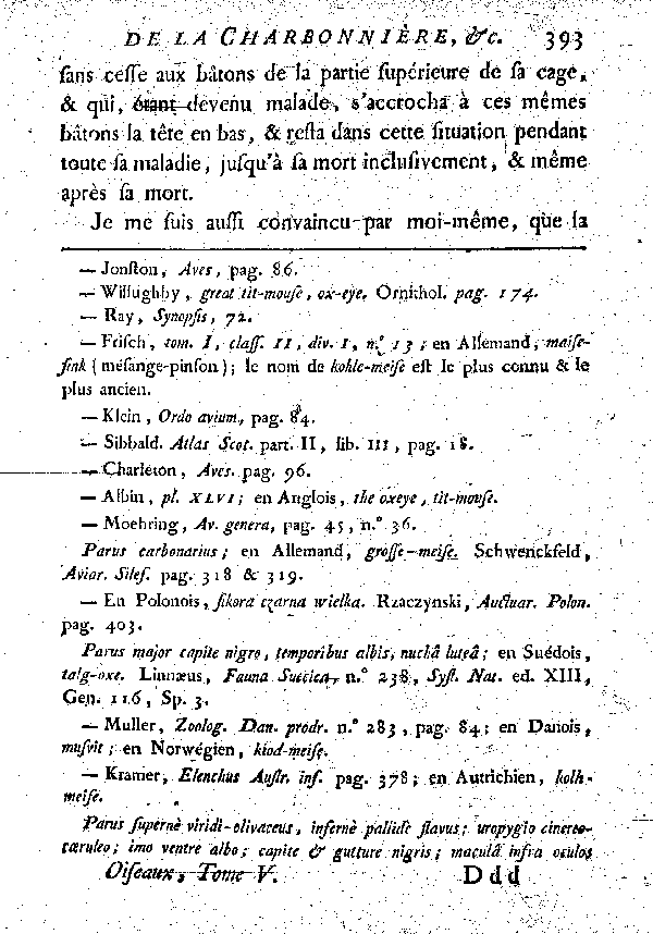 La Charbonnière ou grosse Mésange