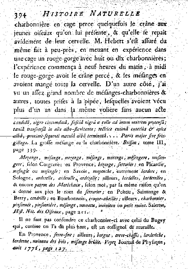 La Charbonnière ou grosse Mésange