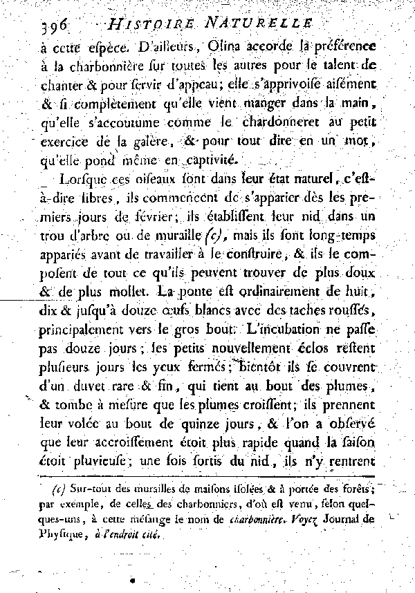 La Charbonnière ou grosse Mésange