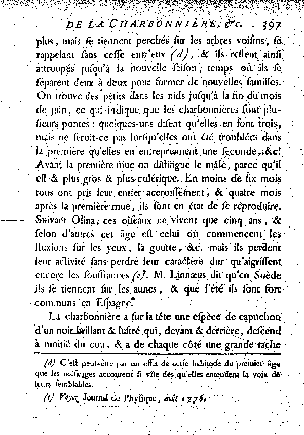 La Charbonnière ou grosse Mésange