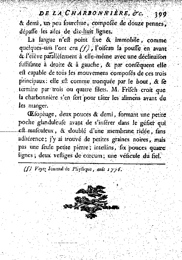 La Charbonnière ou grosse Mésange