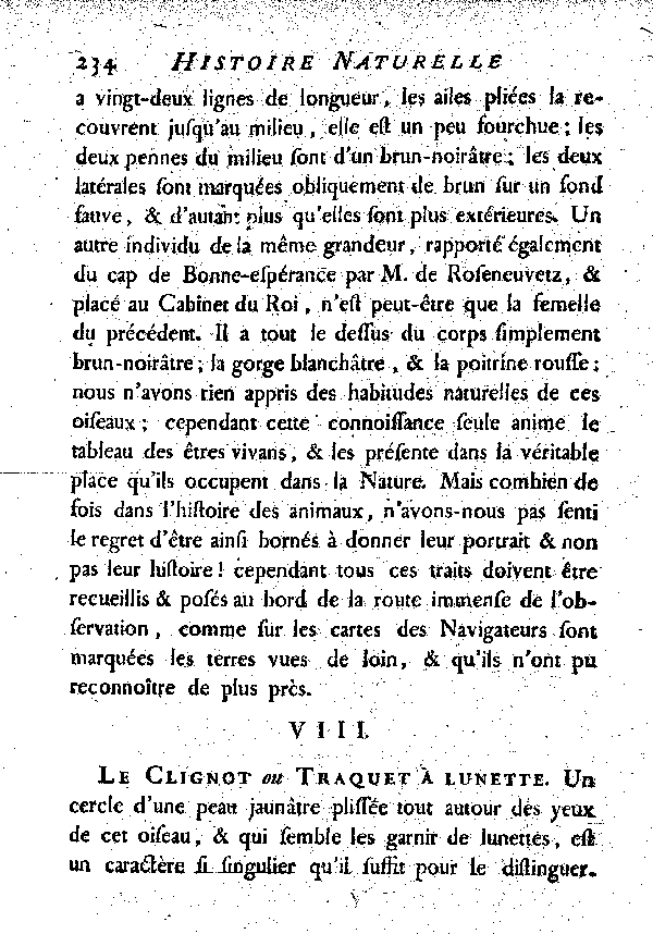 VIII. Le Clignot ou Traquet à lunette.