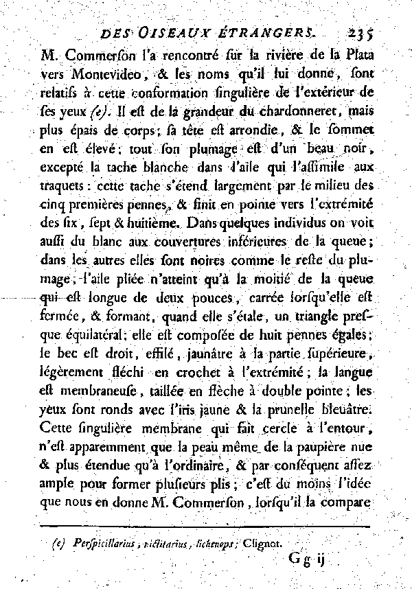 VIII. Le Clignot ou Traquet à lunette.