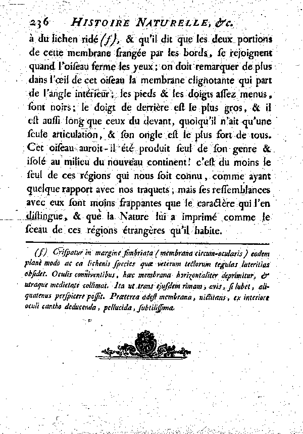 VIII. Le Clignot ou Traquet à lunette.