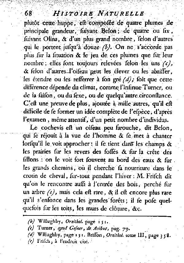 Le Cochevis ou la grosse Alouete huppée