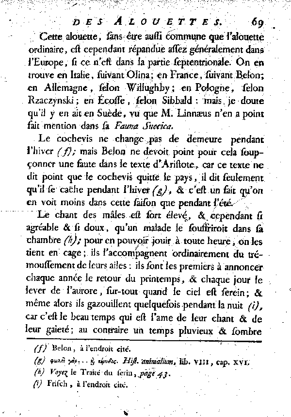 Le Cochevis ou la grosse Alouete huppée