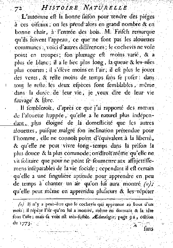 Le Cochevis ou la grosse Alouete huppée