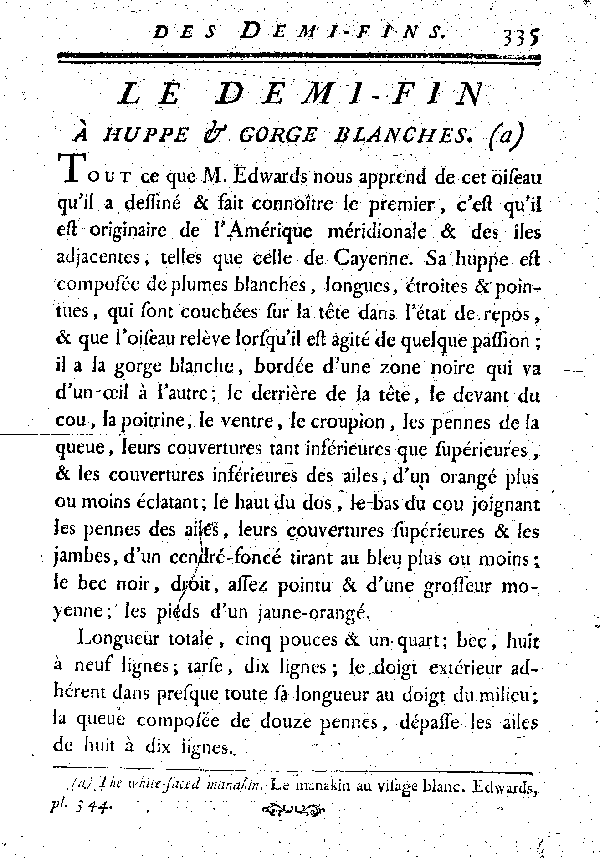 Le Demi-fin à huppe et gorge blanches.