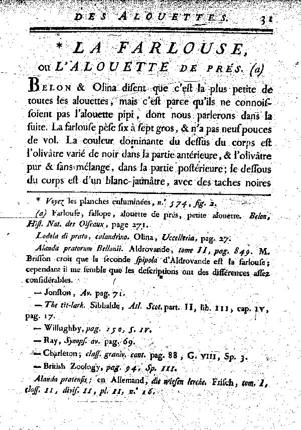 La Farlouse ou l'Alouette des prés