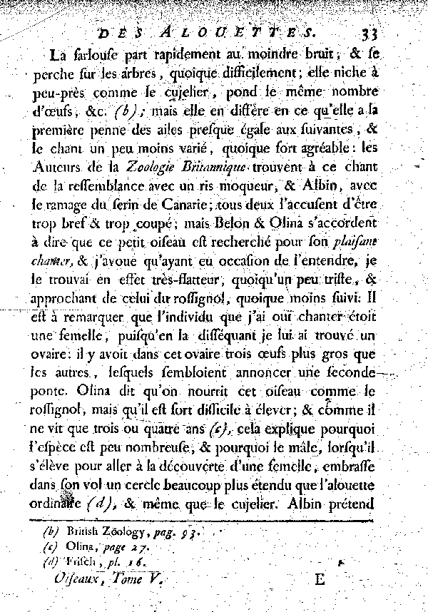 La Farlouse ou l'Alouette des prés