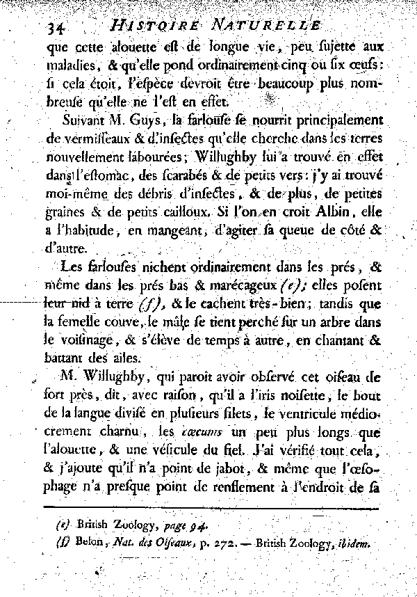 La Farlouse ou l'Alouette des prés