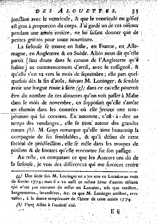 La Farlouse ou l'Alouette des prés