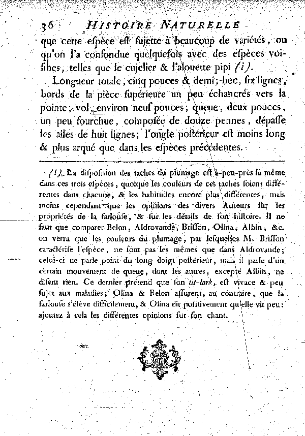 La Farlouse ou l'Alouette des prés