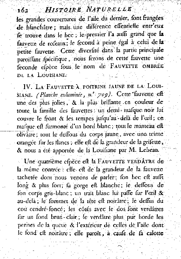 IV. La Fauvette à poitrine jaune de la Louisiane.