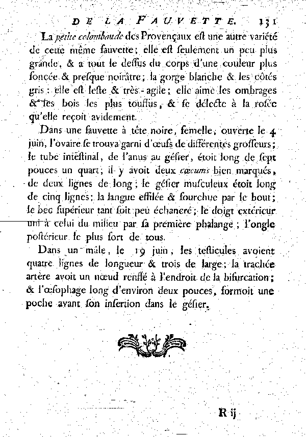 La Fauvette à tête noire