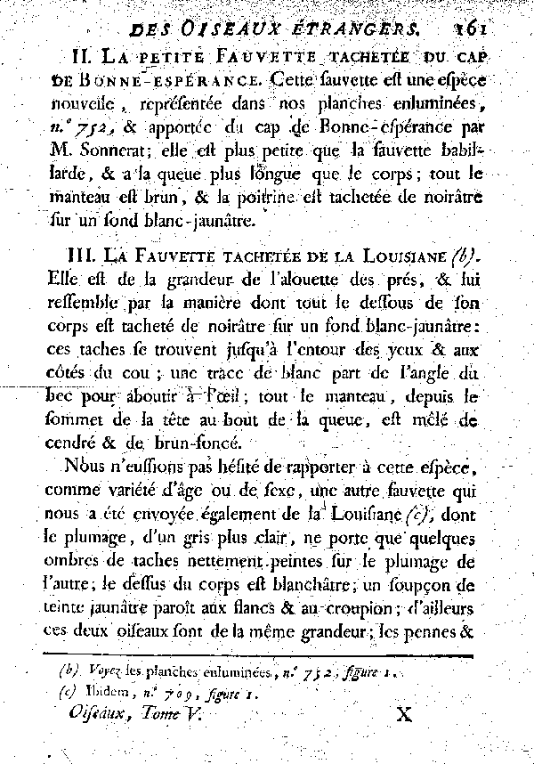 III. La Fauvette tachetée de la Louisiane.